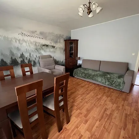 Apartament Pod Honem Cisna Exterior photo