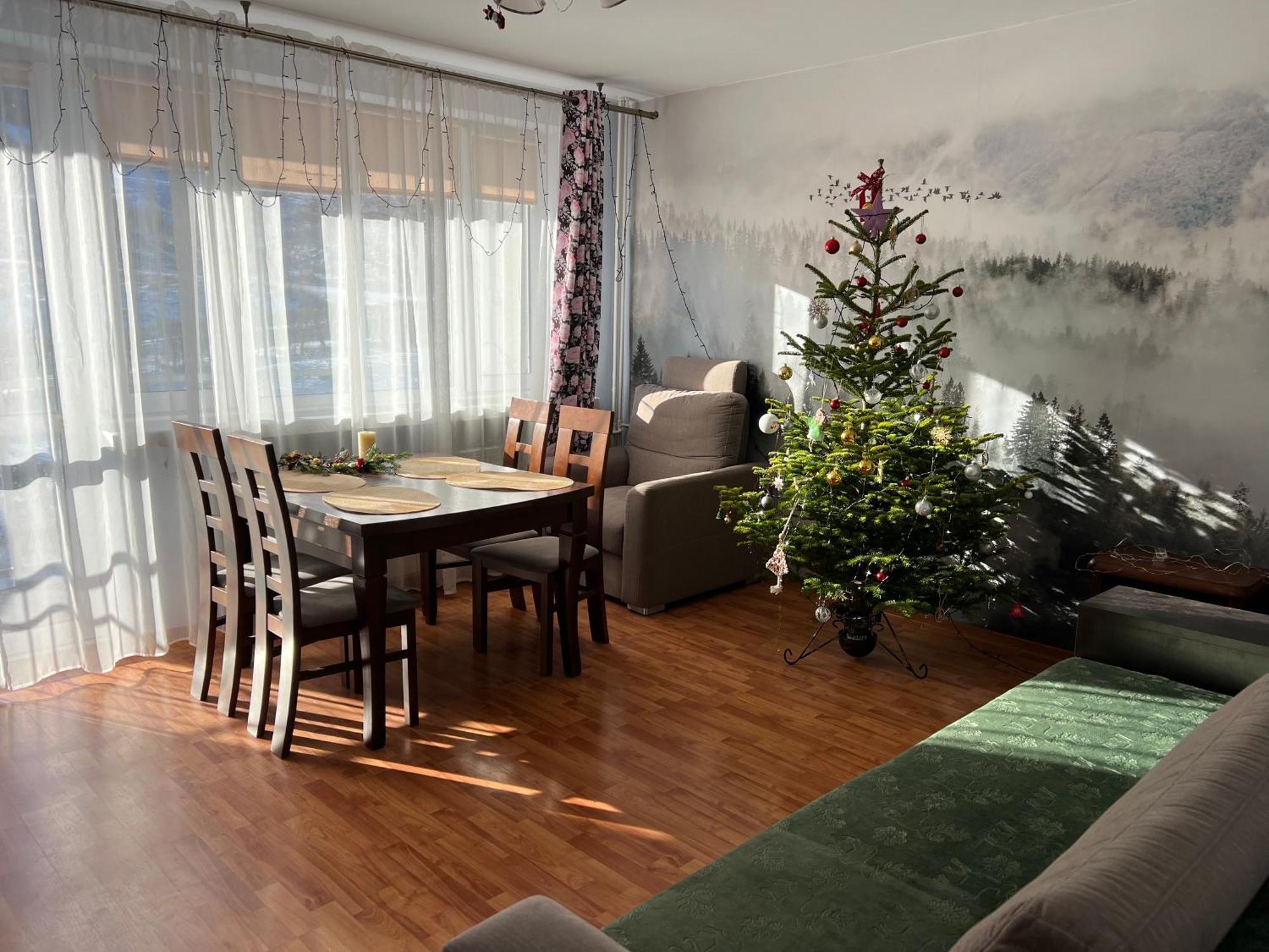 Pod Honem Apartment *